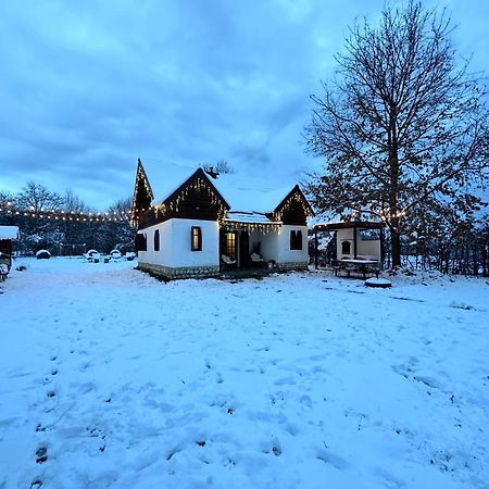Cuib Din Fagaras Villa Avrig Exterior photo