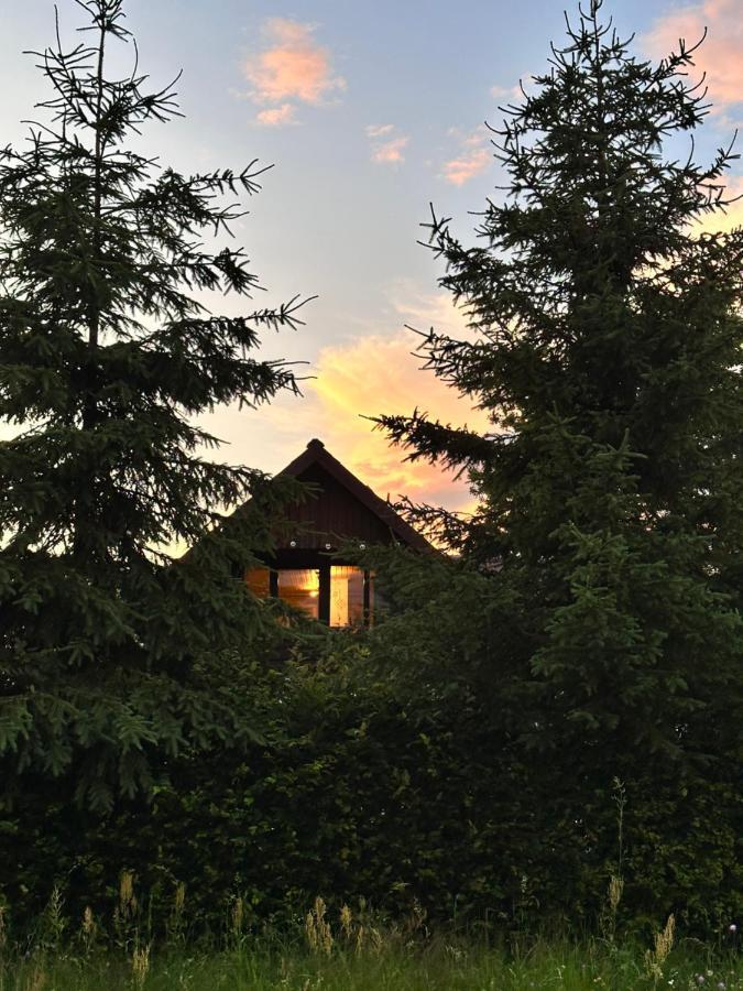 Cuib Din Fagaras Villa Avrig Exterior photo